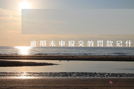 逾期未申报交的罚款记什么科目 逾期未申报交的罚款记什么科目