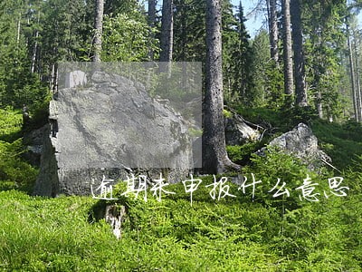逾期未申报什么意思 逾期未申报什么意思