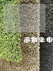 逾期未申报什么税会影响购票 逾期未申报什么税会影响购票