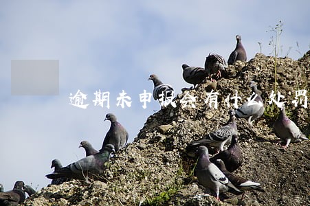 逾期未申报会有什么处罚 逾期未申报会有什么处罚