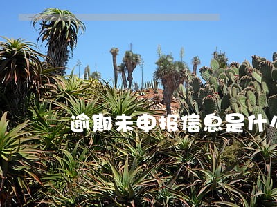 逾期未申报信息是什么意思