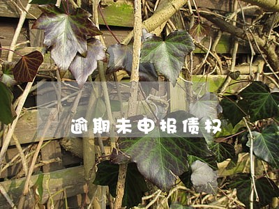逾期未申报债权 逾期未申报债权