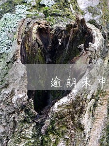 逾期未申报债权的法律后果 逾期未申报债权的法律后果