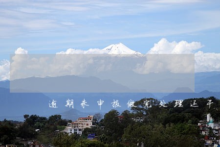 逾期未申报做完处理还干嘛 逾期未申报做完处理还干嘛