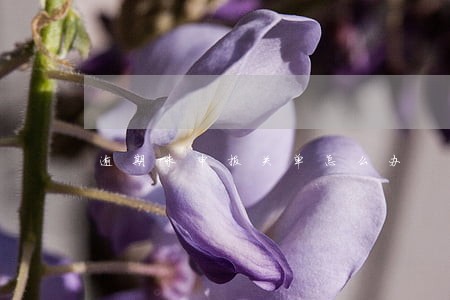 逾期未申报关单怎么办 逾期未申报关单怎么办