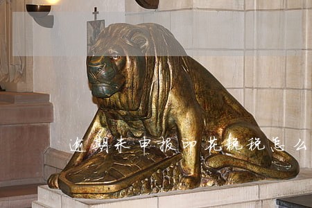 逾期未申报印花税税怎么申报 逾期未申报印花税税怎么申报