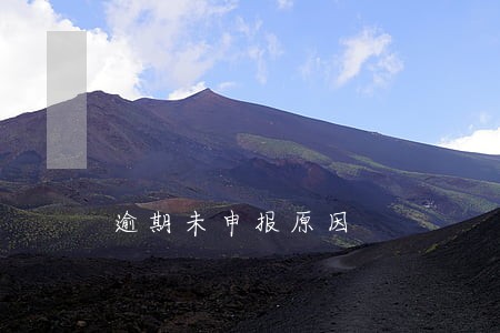逾期未申报原因 逾期未申报原因