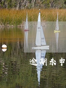 逾期未申报原因有哪些 逾期未申报原因有哪些