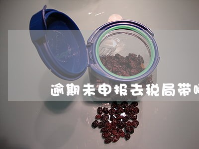 逾期未申报去税局带哪些资料 逾期未申报去税局带哪些资料