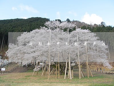 逾期未申报发票失控 逾期未申报发票失控