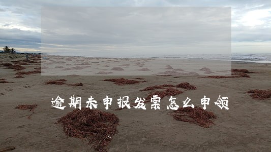 逾期未申报发票怎么申领 逾期未申报发票怎么申领