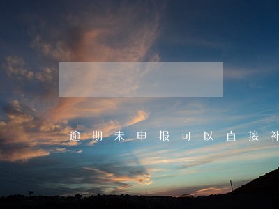 逾期未申报可以直接补申报吗 逾期未申报可以直接补申报吗