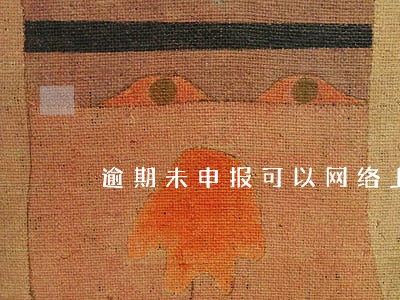 逾期未申报可以网络上面申报么 逾期未申报可以网络上面申报么