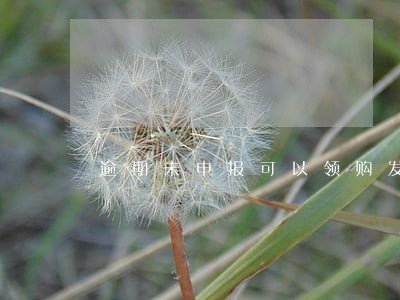 逾期未申报可以领购发票吗