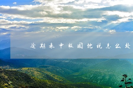 逾期未申报国地税怎么处理 逾期未申报国地税怎么处理