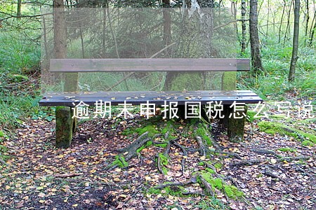 逾期未申报国税怎么写说明书 逾期未申报国税怎么写说明书