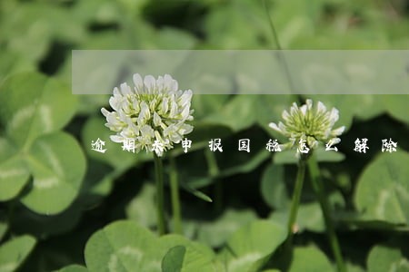 逾期未申报国税怎么解除 逾期未申报国税怎么解除