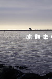 逾期未申报在哪里申报