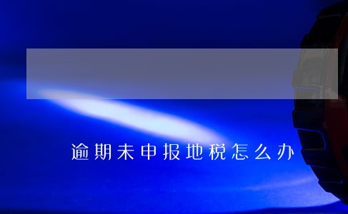逾期未申报地税怎么办