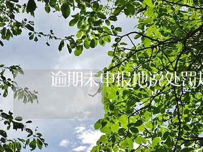逾期未申报地说处罚规定 逾期未申报地说处罚规定