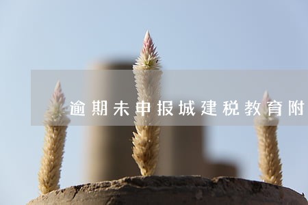 逾期未申报城建税教育附 逾期未申报城建税教育附