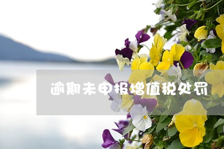 逾期未申报增值税处罚 逾期未申报增值税处罚