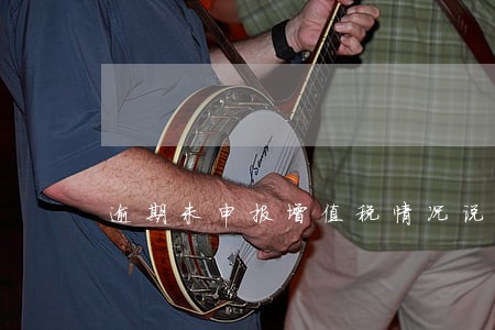 逾期未申报增值税情况说明 逾期未申报增值税情况说明