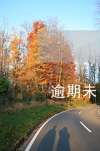 逾期未申报处理完怎么查询 逾期未申报处理完怎么查询