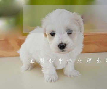 逾期未申报处理意见 逾期未申报处理意见