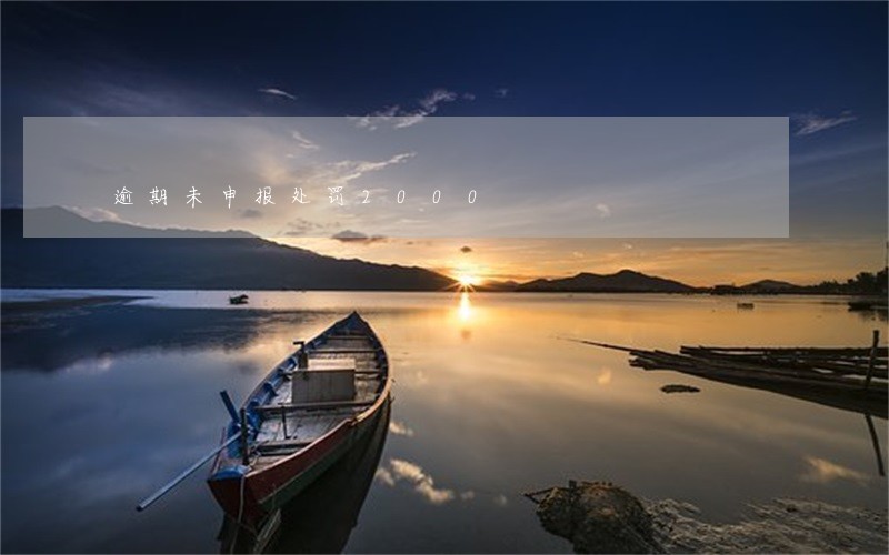 逾期未申报处罚2000 逾期未申报处罚2000