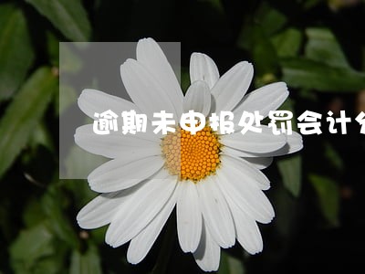 逾期未申报处罚会计分录 逾期未申报处罚会计分录
