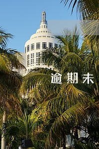 逾期未申报处罚情节严重 逾期未申报处罚情节严重