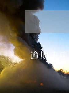 逾期未申报处罚按条还是按次 逾期未申报处罚按条还是按次