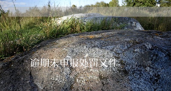 逾期未申报处罚文件 逾期未申报处罚文件