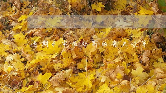 逾期未申报处罚的有关政策 逾期未申报处罚的有关政策