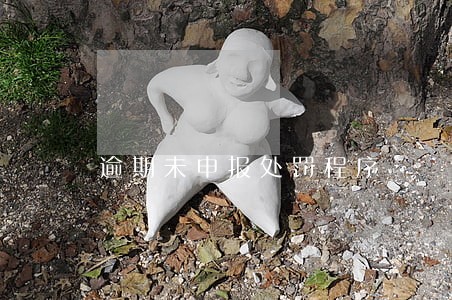 逾期未申报处罚程序 逾期未申报处罚程序