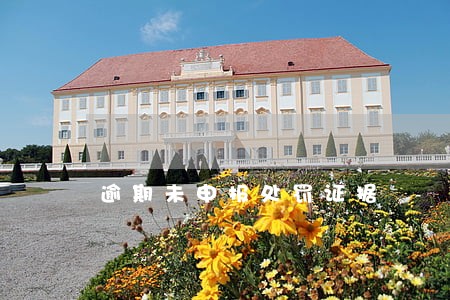 逾期未申报处罚证据 逾期未申报处罚证据