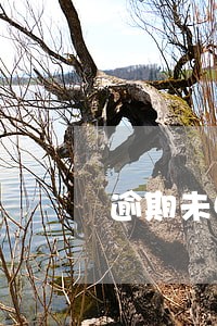 逾期未申报多少钱 逾期未申报多少钱