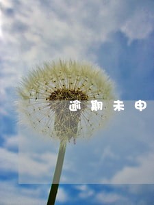 逾期未申报如何补申报 逾期未申报如何补申报