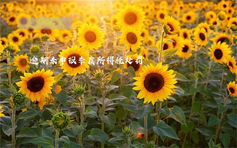 逾期未申报季度所得税处罚 逾期未申报季度所得税处罚