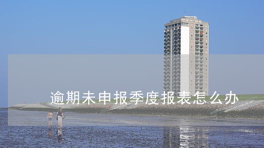 逾期未申报季度报表怎么办 逾期未申报季度报表怎么办