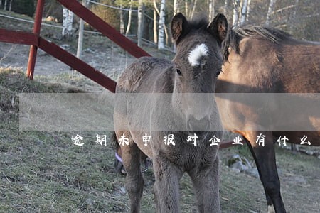 逾期未申报对企业有什么影响 逾期未申报对企业有什么影响