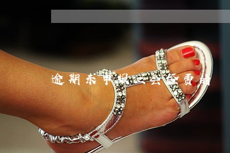 逾期未申报工会经费的 逾期未申报工会经费的