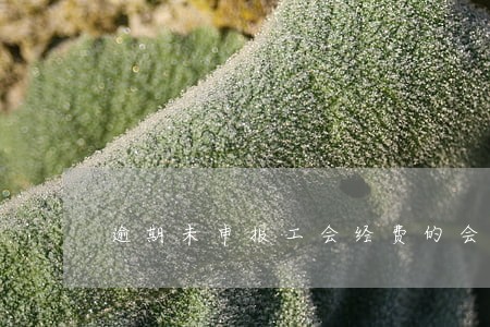 逾期未申报工会经费的会计分录 逾期未申报工会经费的会计分录