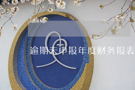 逾期未申报年度财务报表 逾期未申报年度财务报表