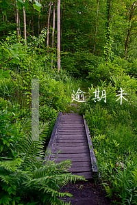 逾期未申报怎么写情况说明 逾期未申报怎么写情况说明