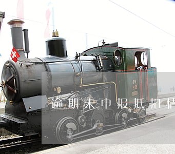 逾期未申报抵扣情况说明怎么写