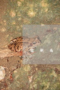 逾期未申报按税种罚 逾期未申报按税种罚