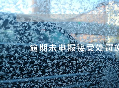 逾期未申报接受处罚说明书 逾期未申报接受处罚说明书