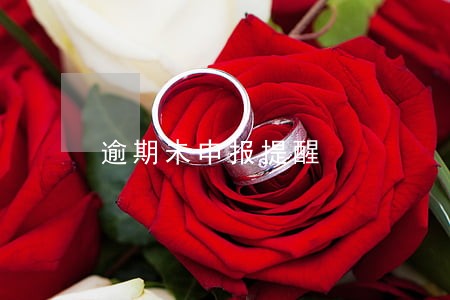 逾期未申报提醒 逾期未申报提醒